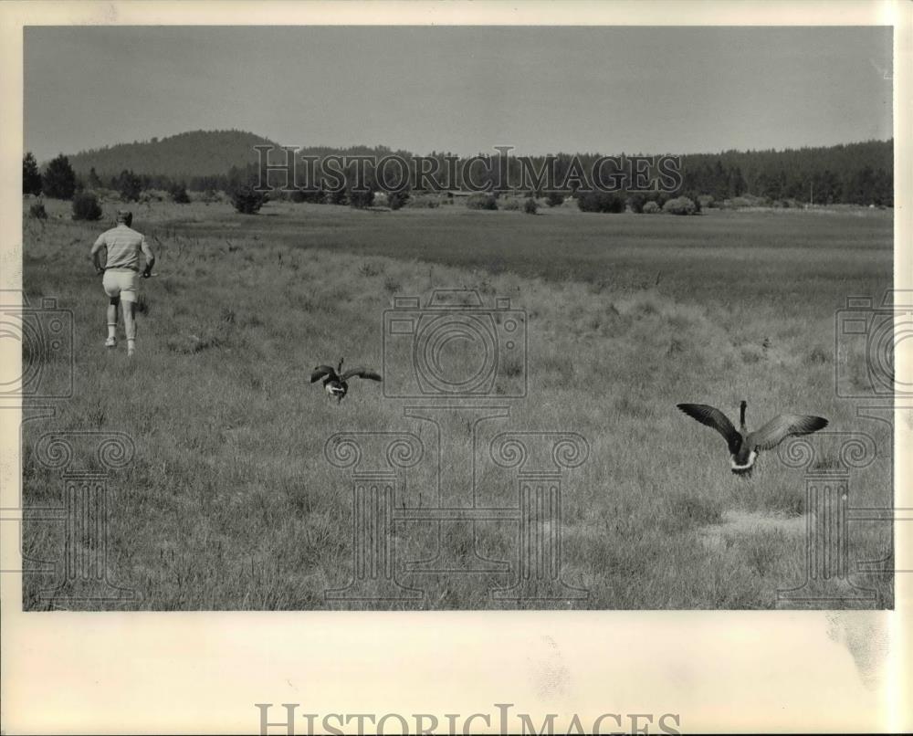 1984 Press Photo Bill McDonald of the nature center follow him with wings - Historic Images