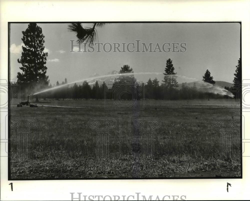 1985 Press Photo "Gun" Sprinkler on the Sisters-area Lazy Z Ranch - orb18336 - Historic Images