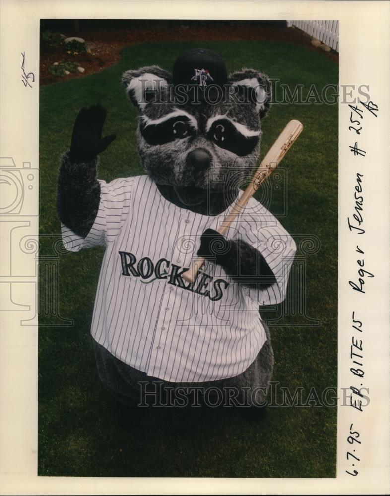 1995 Press Photo Rockie Raccoon - Mascot - orb23251 - Historic Images