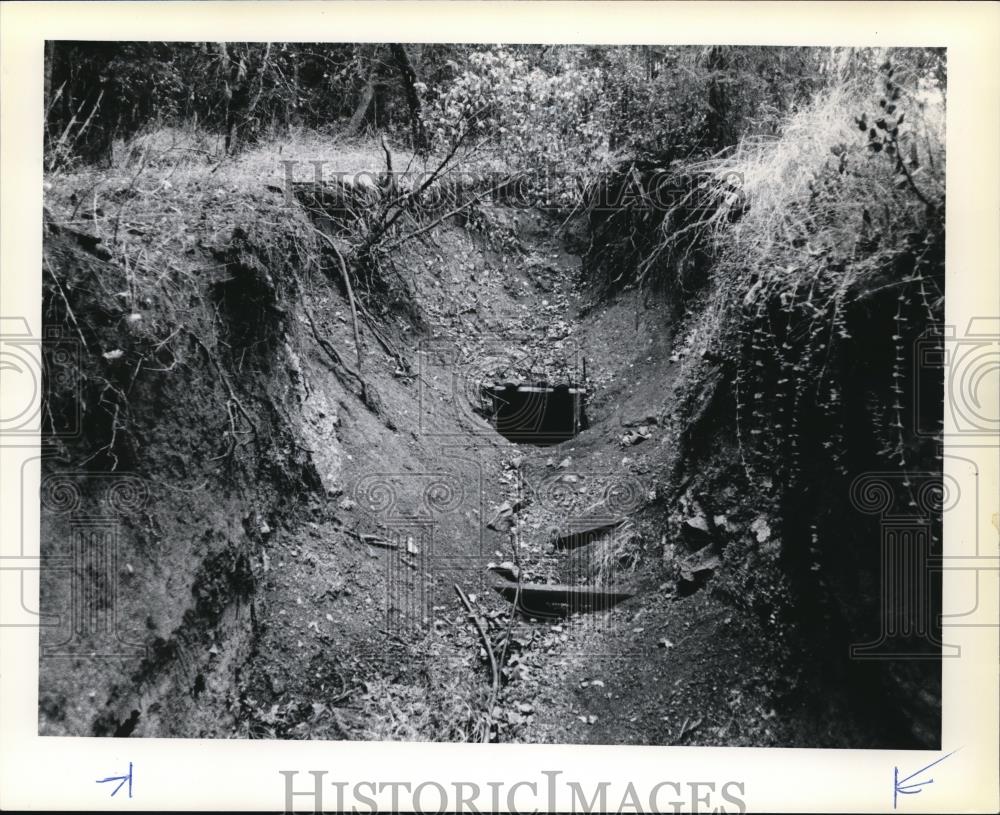 1978 Press Photo The mine entrance, or "adit," on the Peavine Claim - orb23688 - Historic Images