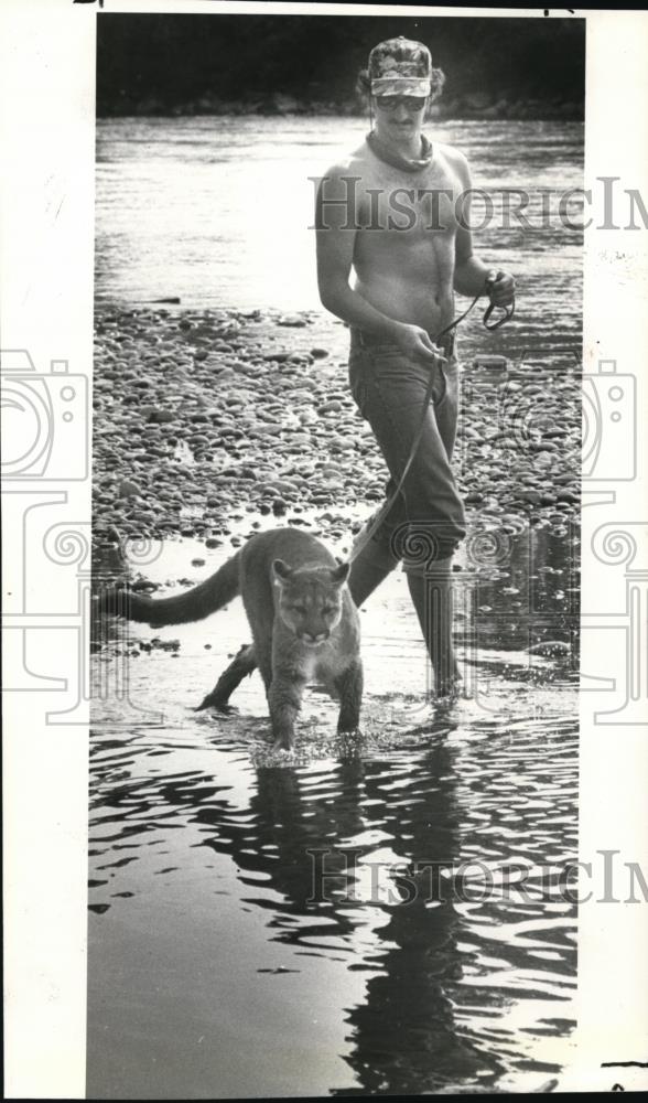 1987 Press Photo Cougar -  The cat in the filming of "Benji" on the Oregon coast - Historic Images