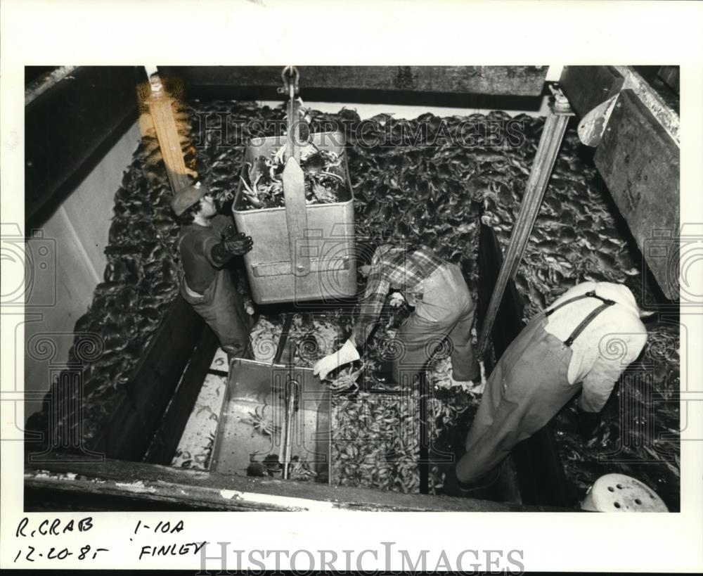 1985 Press Photo Unload crab at Newport from the vessel Midnite Sun - orb63866 - Historic Images