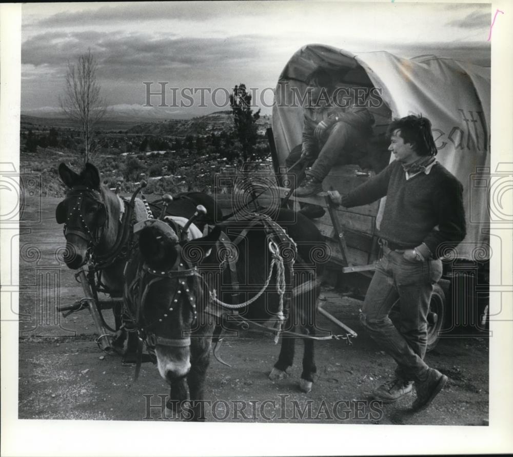 1983 Press Photo Mules and wagon at south Alturas in Northern California - Historic Images