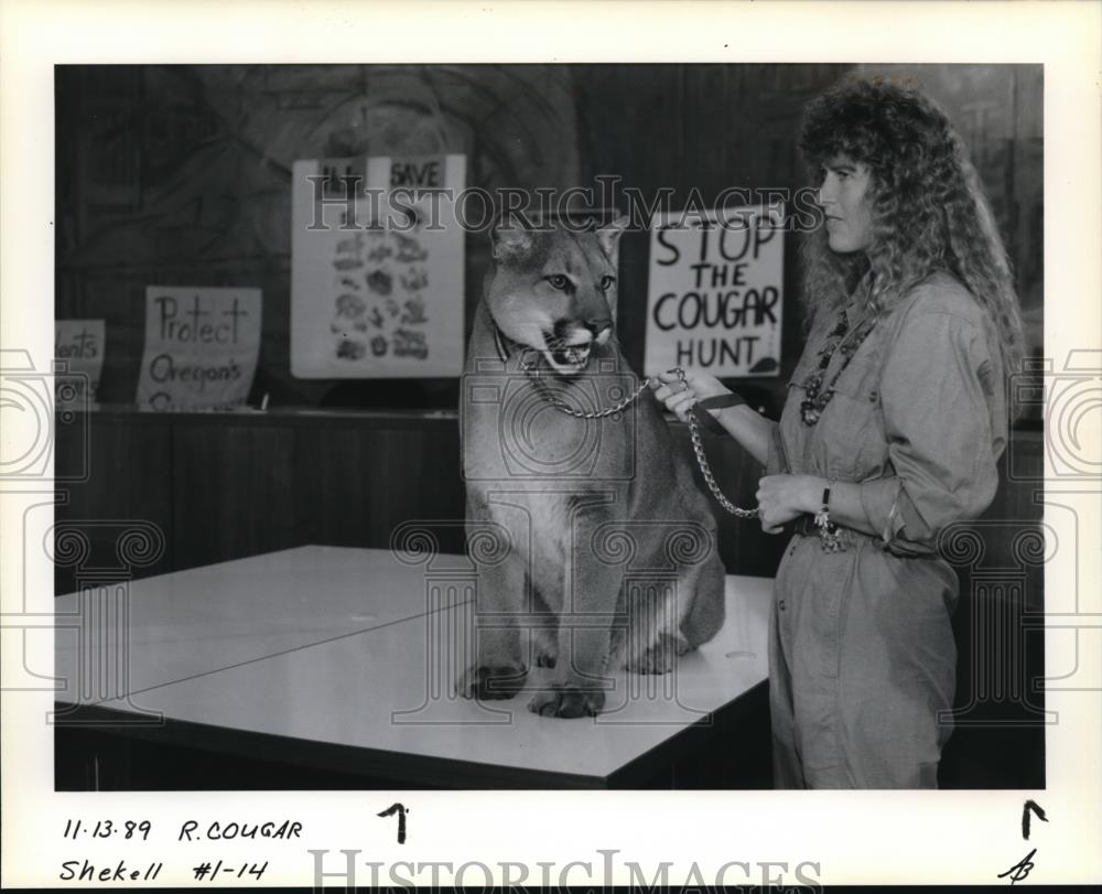 1978 Press Photo Cougar - orb64028 - Historic Images