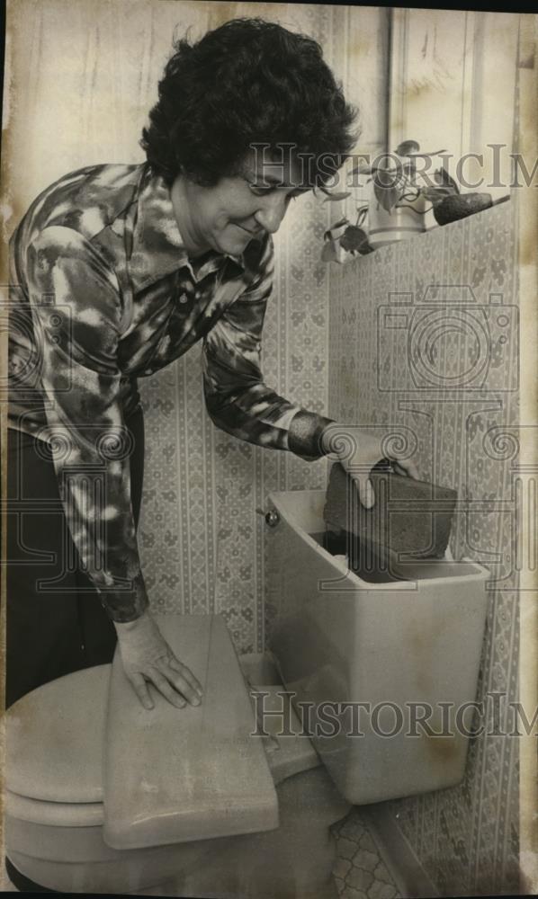 1977 Press Photo Mary puts brick in toilet tank to conserve wat