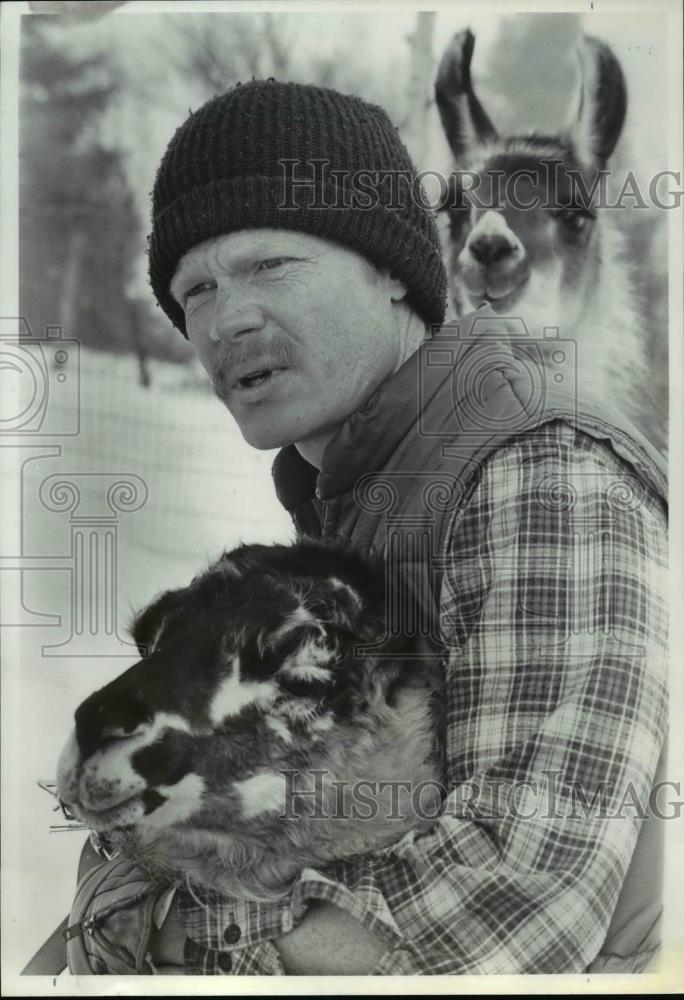 1983 Press Photo Hart takes time with the two female llamas, Posey and LilBit, - Historic Images