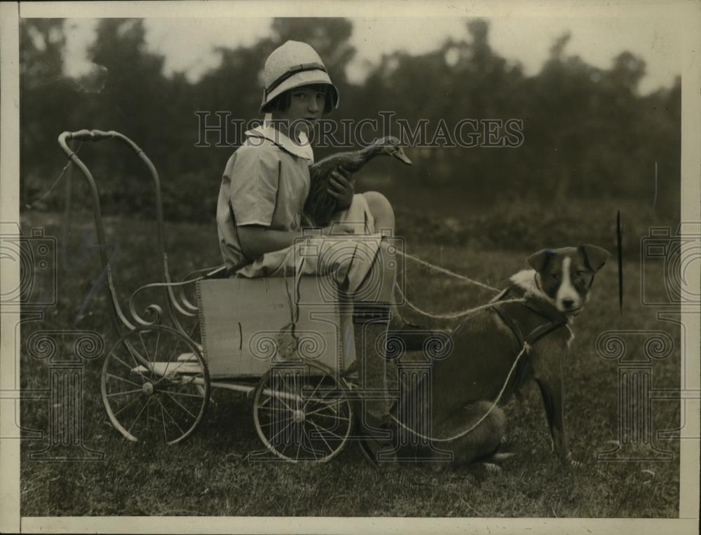 1926 Press Photo Margaret Thompson with prize winners Flossie &amp; Gipp - Historic Images