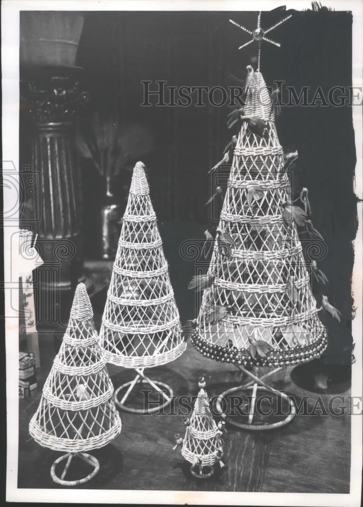 1961 Press Photo Rattan Trees Imported from Hong Kong by J.J. Dunn, Florist - Historic Images