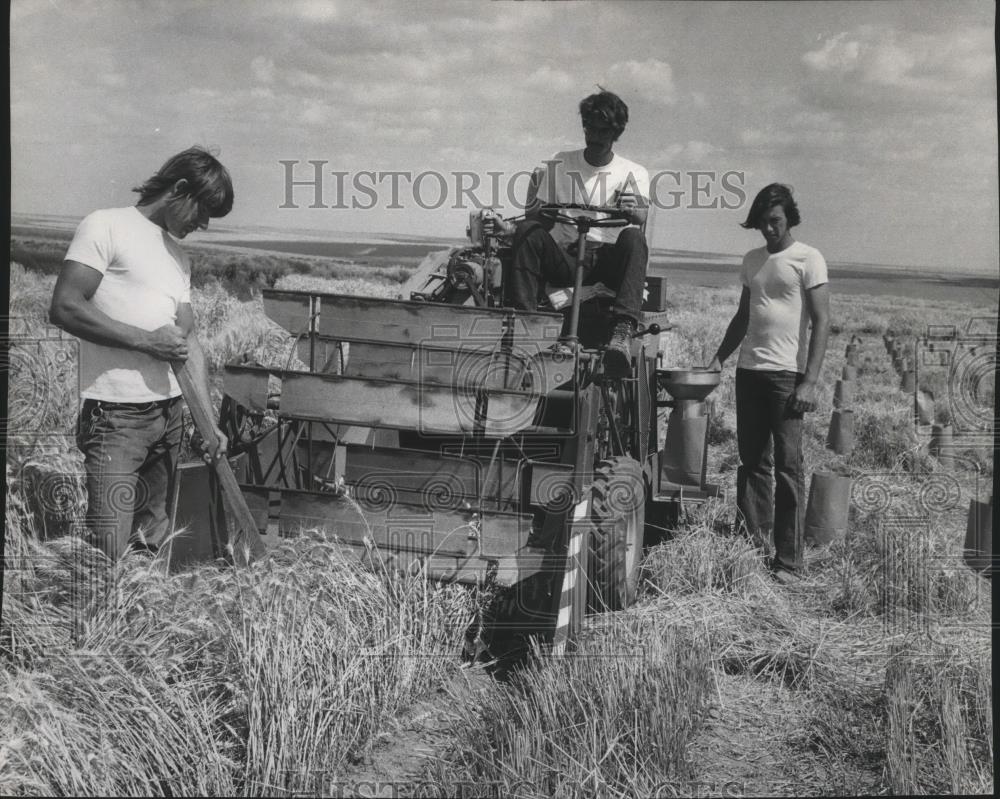 1974 Press Photo Harvest Scenes - spa48837 - Historic Images