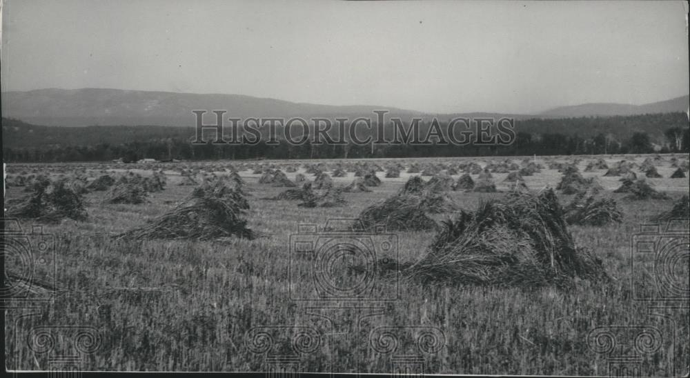 1938 Press Photo Farm scene near Bonners Ferry, Idaho - spa48898 - Historic Images