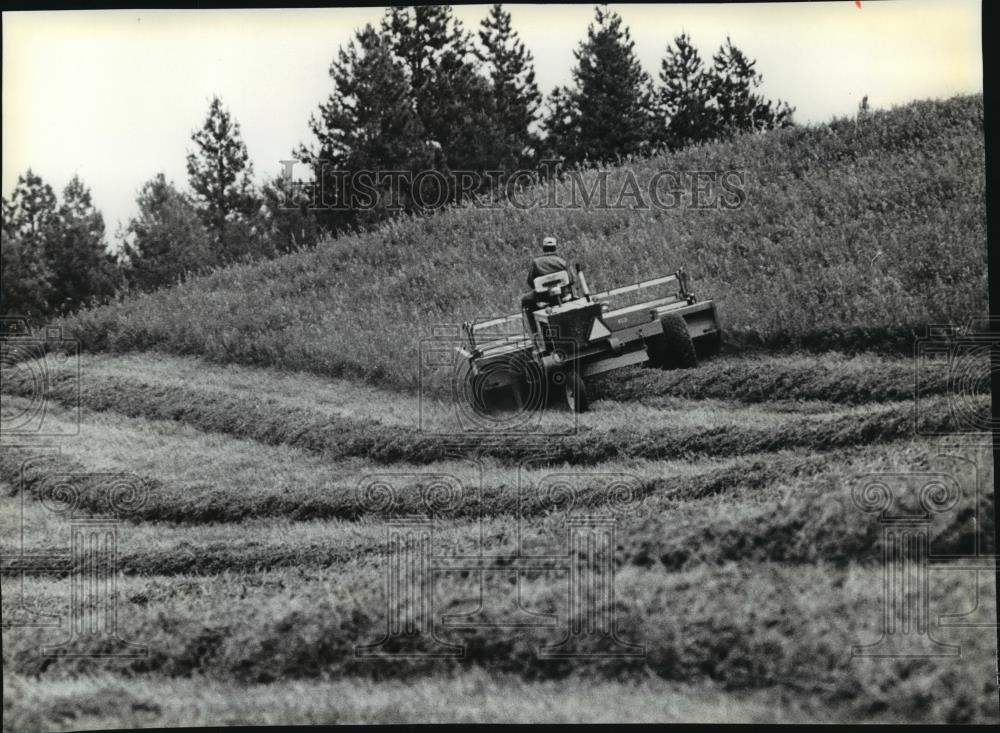 1979 Press Photo Alfala, Les Durham Farm - spa51721 - Historic Images