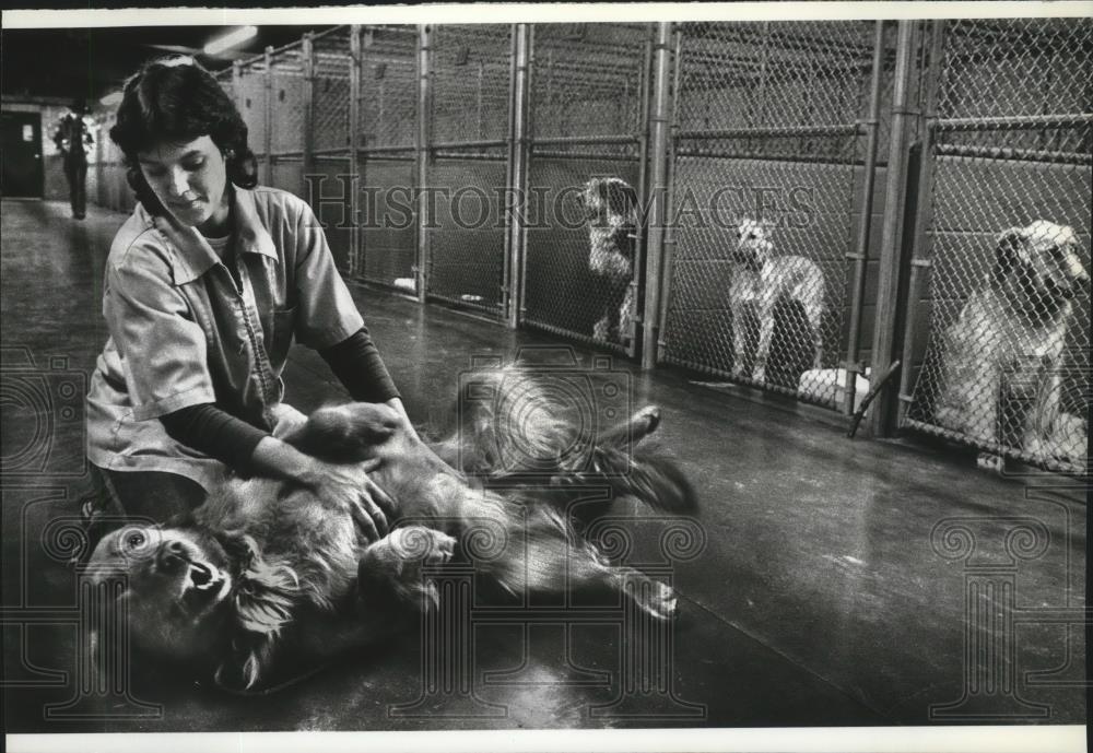 1983 Press Photo Sue Bates, Humane Society worker, plays with a dog - spa49334 - Historic Images