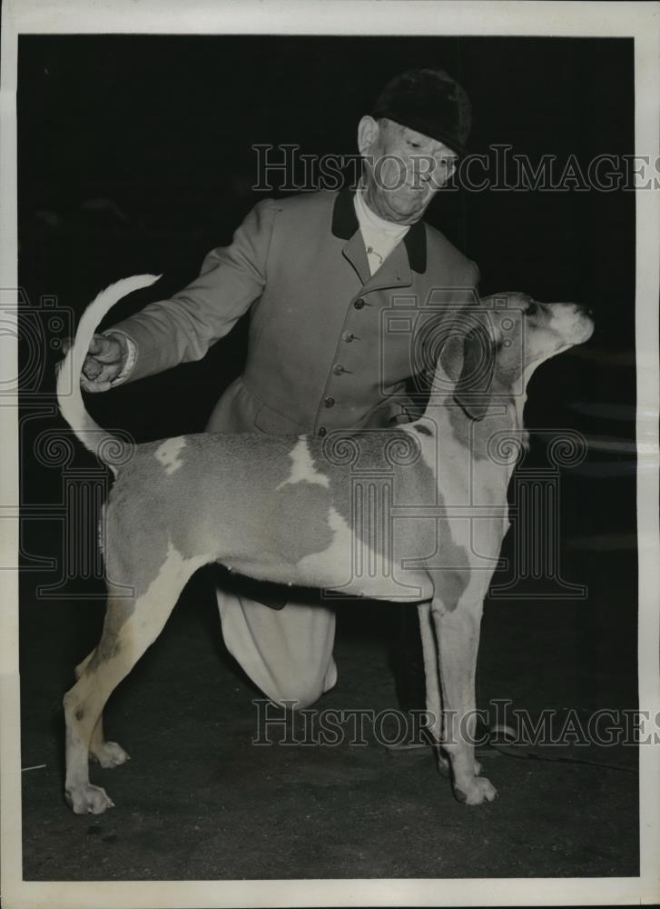 1938 Press Photo New York Precious Winner of Annual Foxhound Dog Show NYC - Historic Images