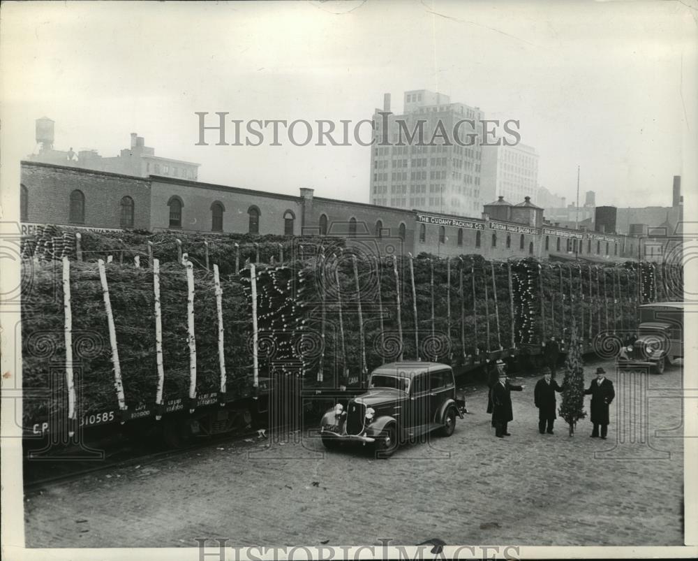 1938 Press Photo New York Christmas Trees Arrive In New York NYC - neny10600 - Historic Images