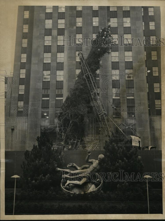 1946 Press Photo New York Rockefeller Center Christmas tree raised in NYC - Historic Images
