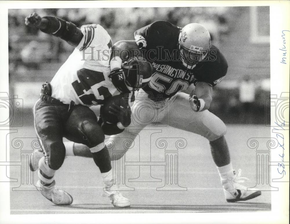 1988 Press Photo Dan Grayson-Washington State Cougar Football Linebacker - Historic Images