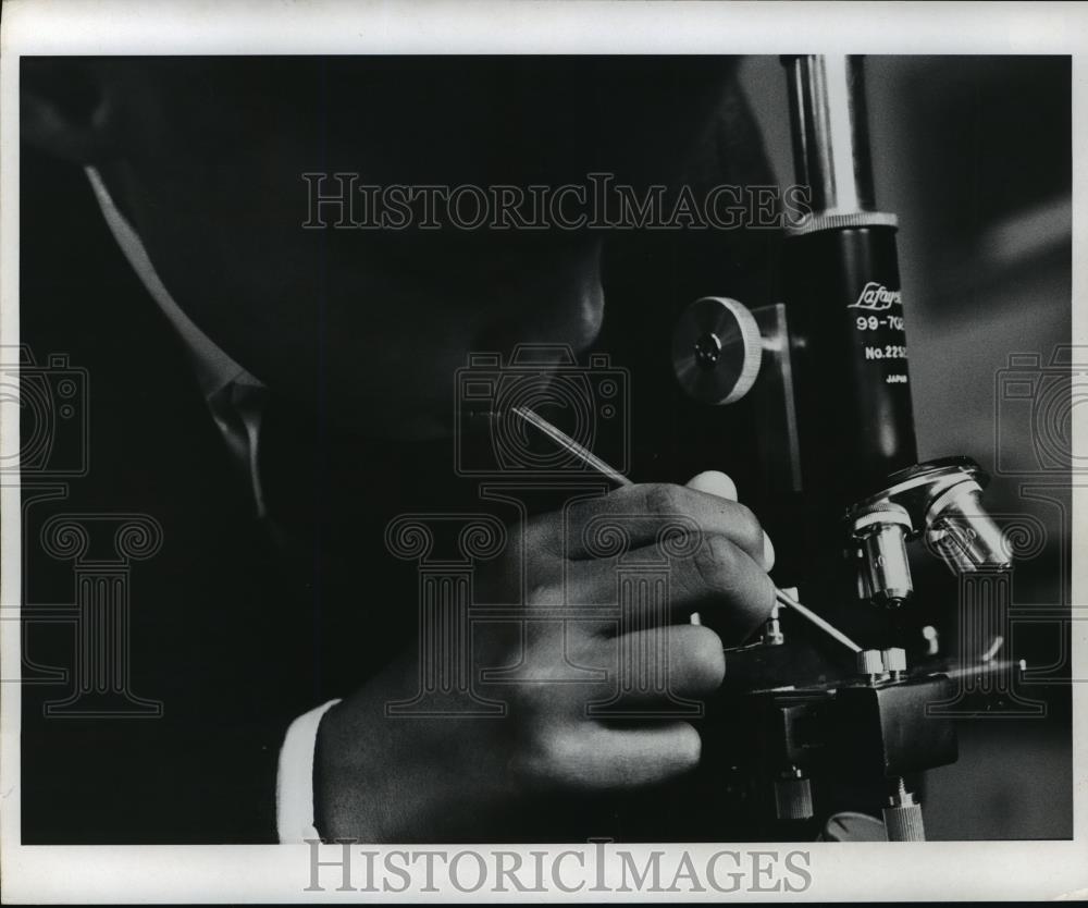 1969 Press Photo New York Jeffrey Hurtt, 11 year old Naturalist, Brooklyn NYC - Historic Images