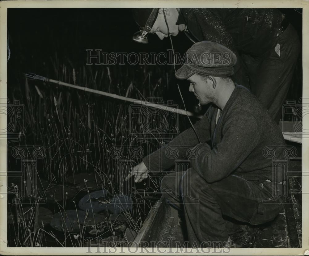 1941 Press Photo New York Willard Yates points out a frog NYC  - neny20385 - Historic Images