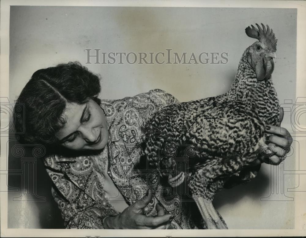 1949 Press Photo New York Georgie six-pound rooster owned by Charles Falco NYC - Historic Images