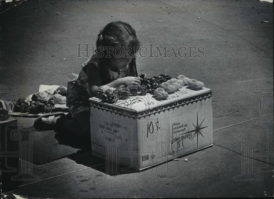 1978 Press Photo Carol Schwarz readied plastic cars at her booth at Summerfest - Historic Images