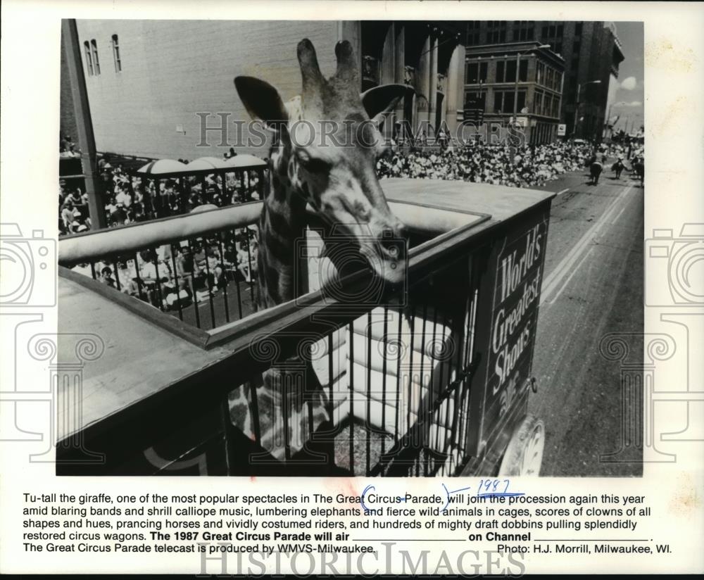 1989 Press Photo Tu-Tall the giraffe, one of the most popular spectacles. - Historic Images