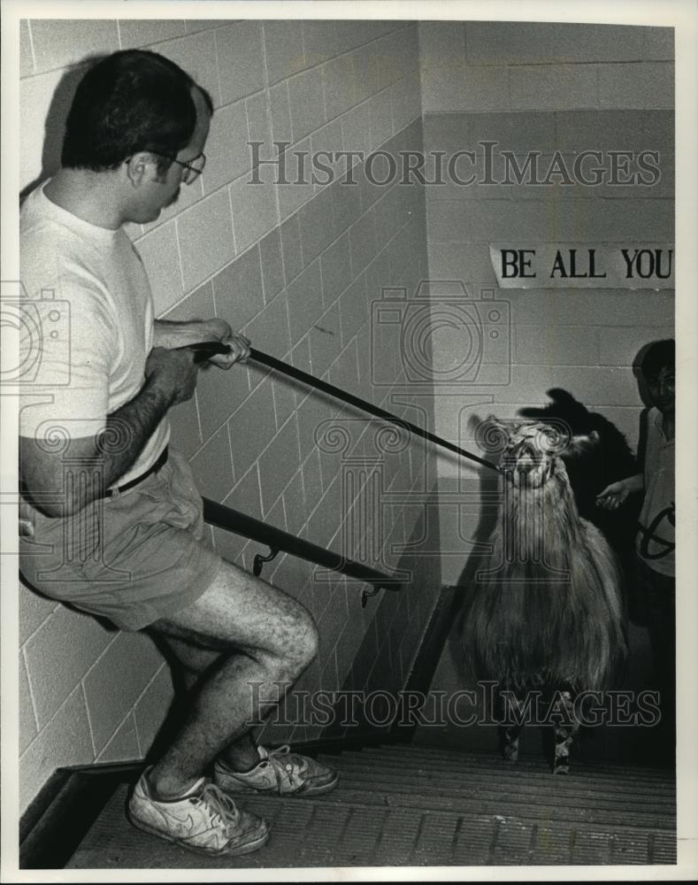 1992 Press Photo Larry Fiske Leading Llamas into Burleigh Elementary School - Historic Images
