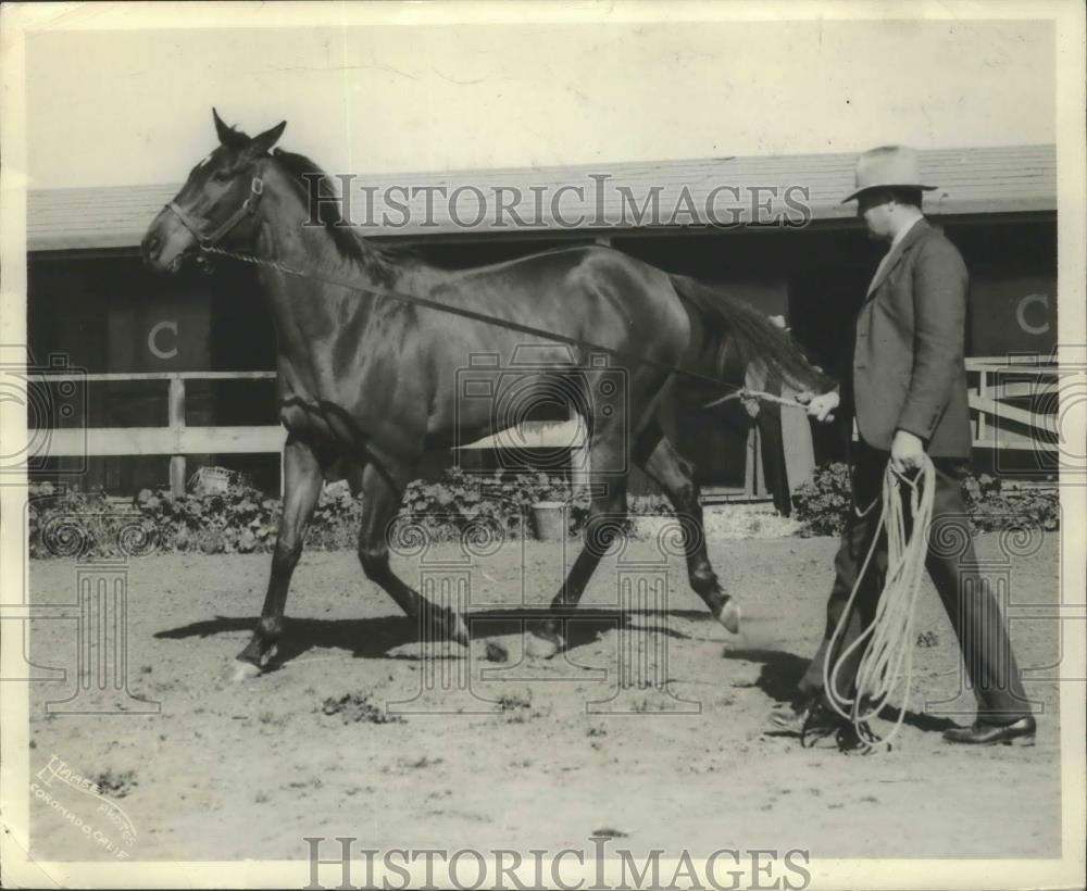 1939 Press Photo Malicious undergoing the rope routine - nef69054 - Historic Images
