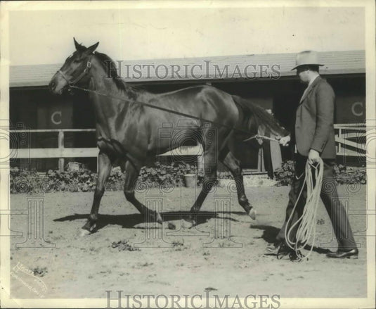 1939 Press Photo Malicious undergoing the rope routine - nef69054 - Historic Images