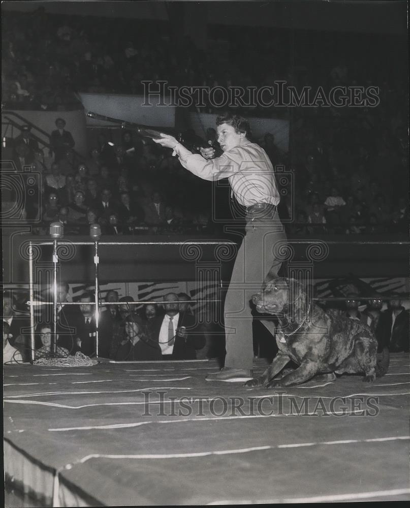 1956 Press Photo Animal trainer Loral I. Armstrong handles her dogs brilliantly - Historic Images