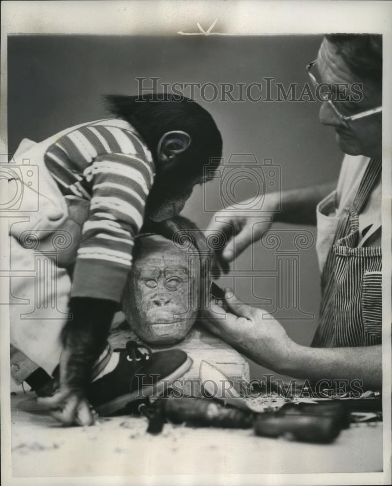 1953 Press Photo Chimpanzee J. Fred Muggs with John Lacey Bust Sculpture - Historic Images