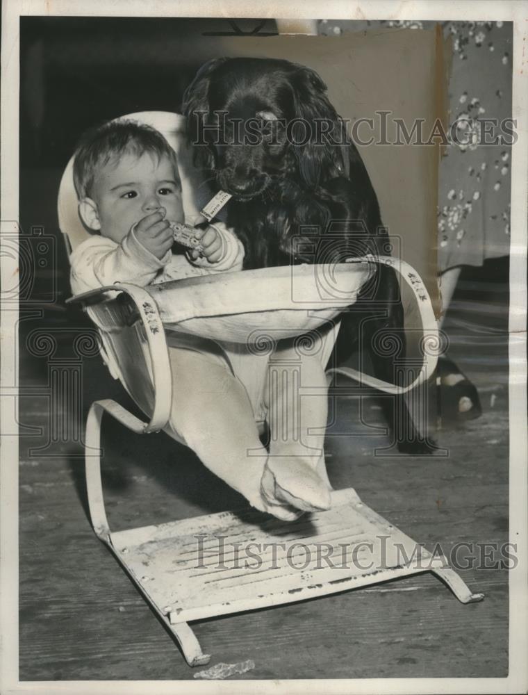 1950 Press Photo Gum-Chewing Dog, Penny &amp; Baby Gregory King - neo15789 - Historic Images