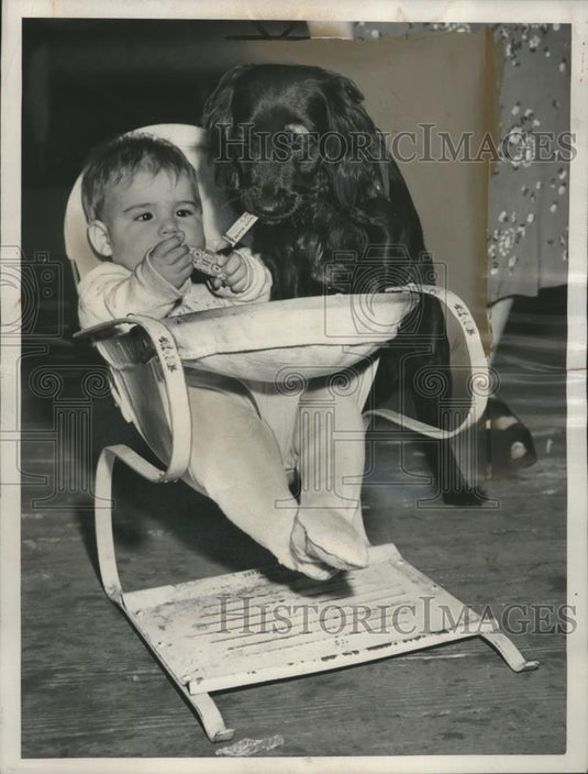 1950 Press Photo Gum-Chewing Dog, Penny & Baby Gregory King - neo15789 - Historic Images