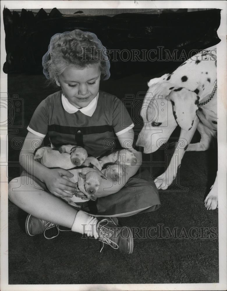 1960 Press Photo Duchess the dalmation &amp; pups with Susan Miller - neo17215 - Historic Images
