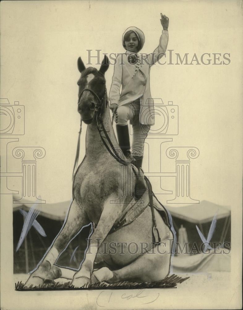 1940 Press Photo Circus Horse - neo18314 - Historic Images