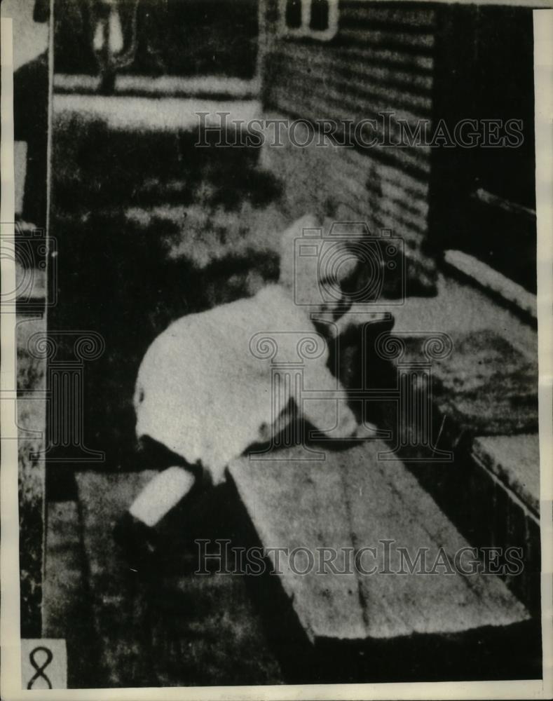 1928 Press Photo Babies Who walk Like Bears - neo18617 - Historic Images