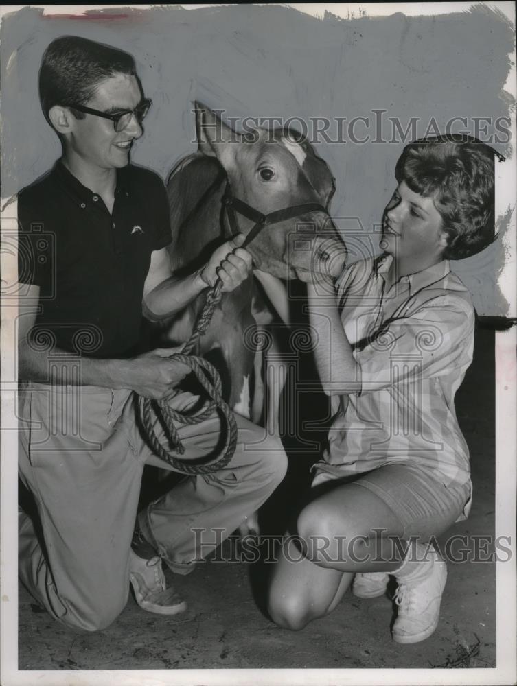 1960 Press Photo Michael Pallak &amp; Anne Gallagher with Calf, Painesville, Ohio - Historic Images
