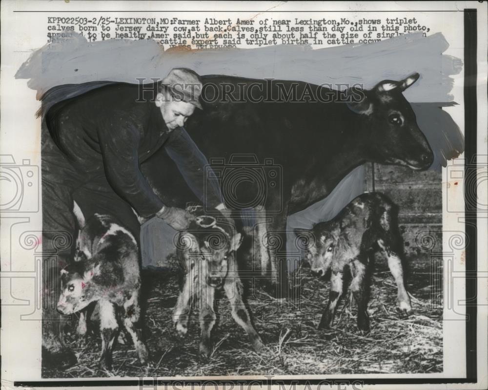 1957 Press Photo Albert Amer of Lexington MD with Jersey cow triplet calves - Historic Images