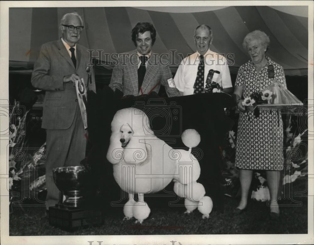 Press Photo Poodle in Dog Show - neo24986 - Historic Images