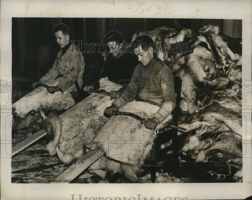 1940 Press Photo Finnish Reindeer Skin Cleaning - neo25017 - Historic Images