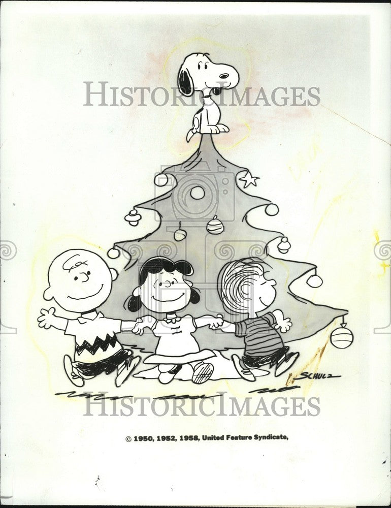 1988 Press Photo Peanuts - cartoon - Historic Images