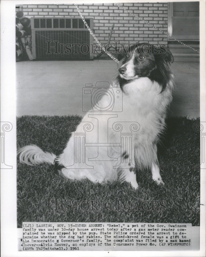 1961 Press Photo Rebel Gov. Swainson gas meter - Historic Images