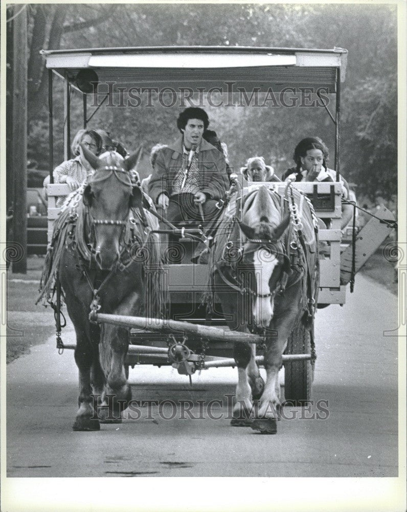1979 Press Photo Horsedrawn Carriage Greenfield Village - Historic Images