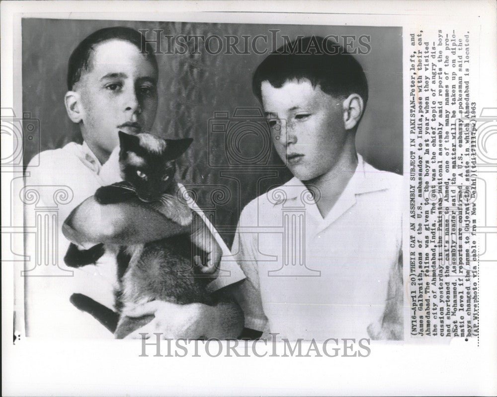 1963 Press Photo Peter Galbraith, James Galbraith, cat - Historic Images