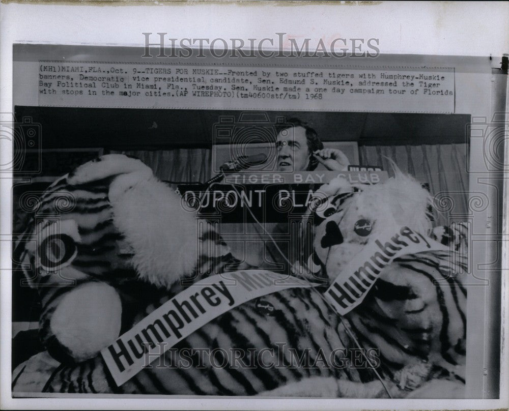 1968 Press Photo Humphrey Muskie campaign tiger banners - Historic Images