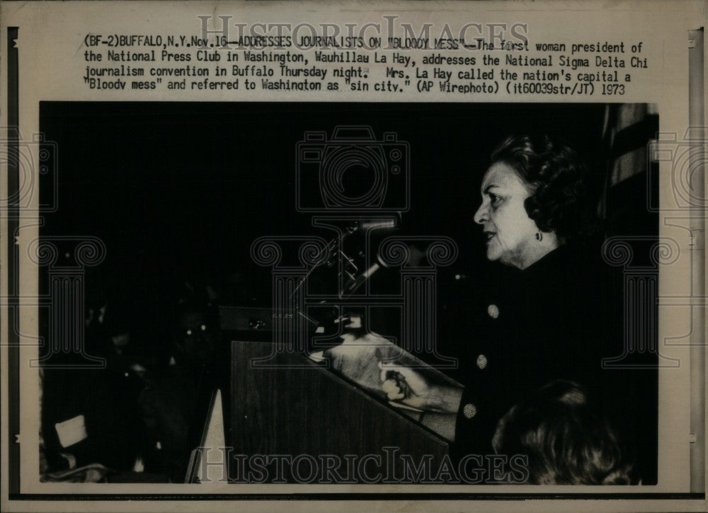 1973 Press Photo Mrs. La hay addresses journalist - Historic Images