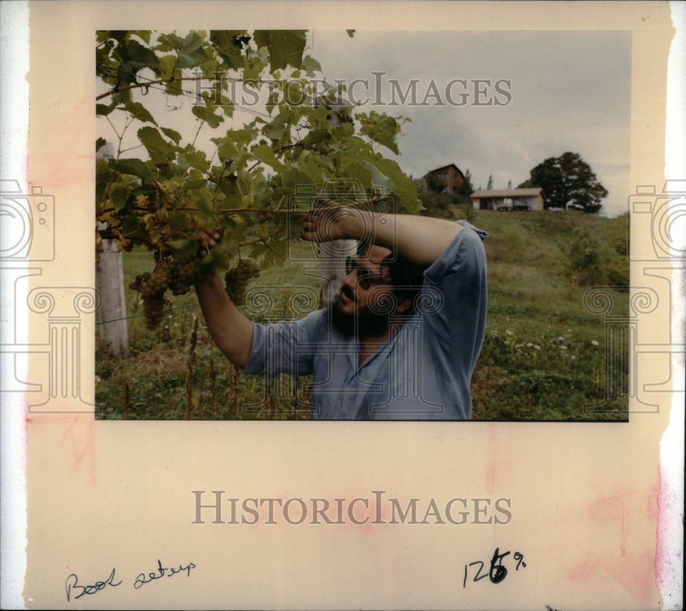 1986 Press Photo Larry Mawby Winemaker Michigan - Historic Images
