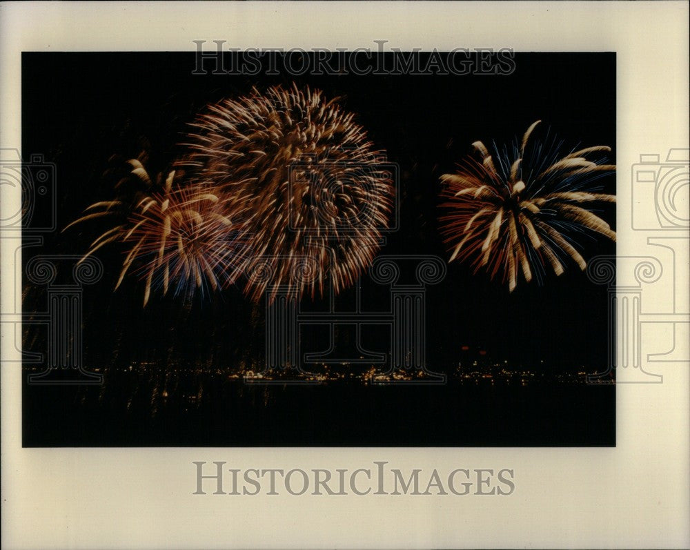 1991 Press Photo International Freedom Fesitval - Historic Images