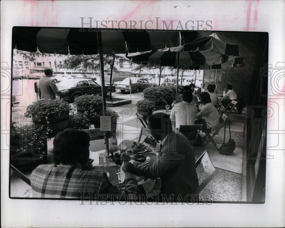 1977 Press Photo Money Tree Detroit - Historic Images