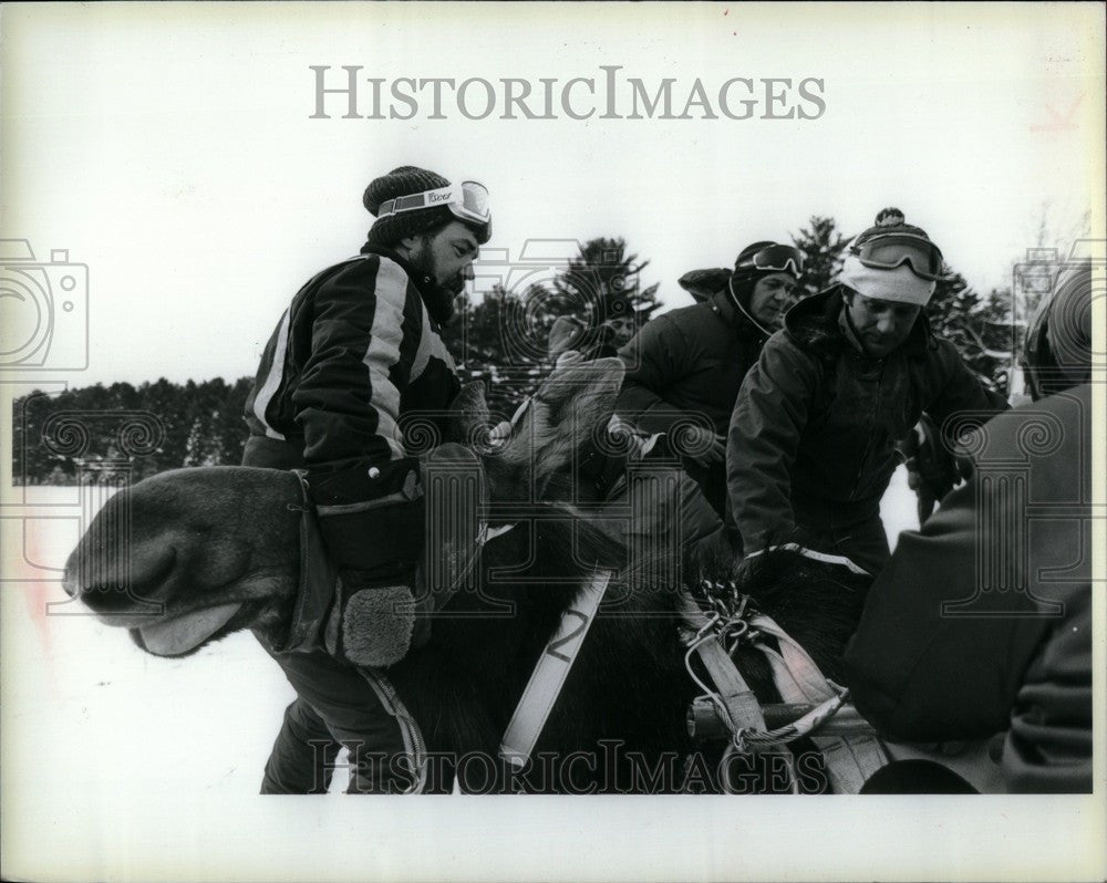 1985 Press Photo Moose Ontario Park Michigan Exchange - Historic Images