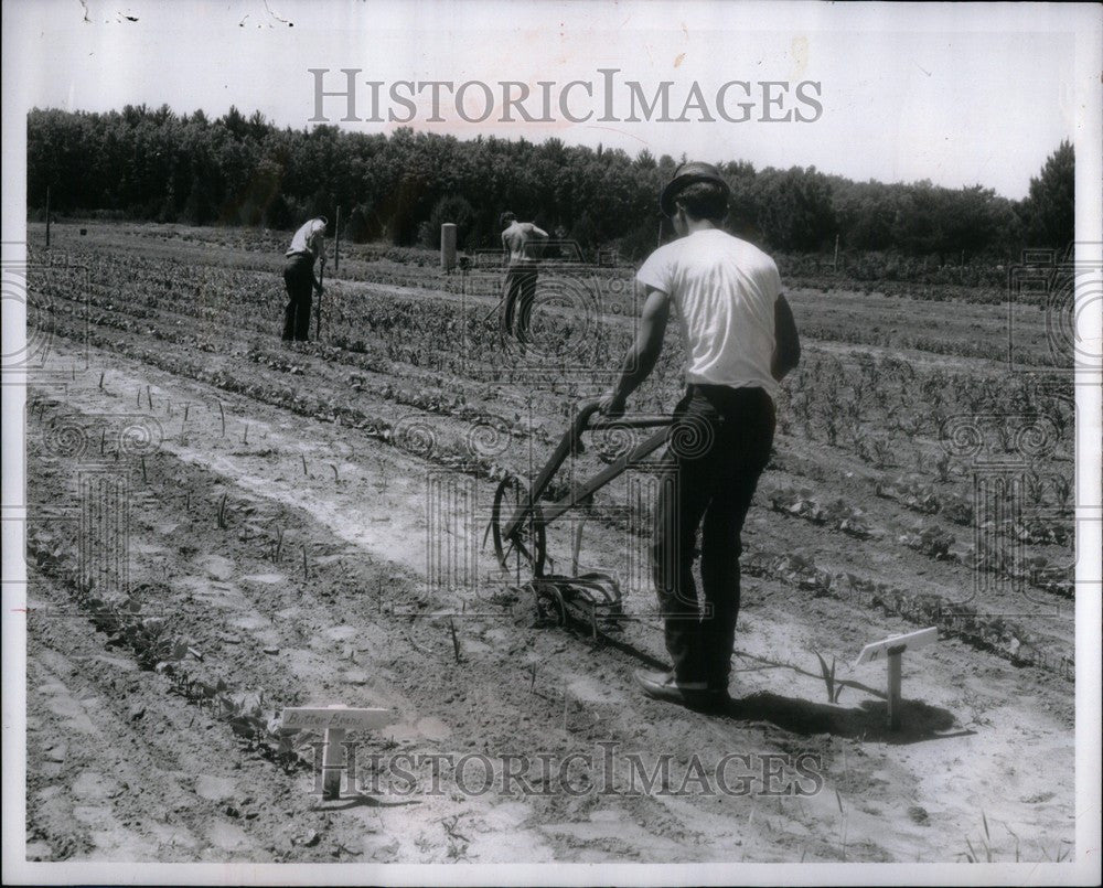 1965 Press Photo Kent Country England - Historic Images